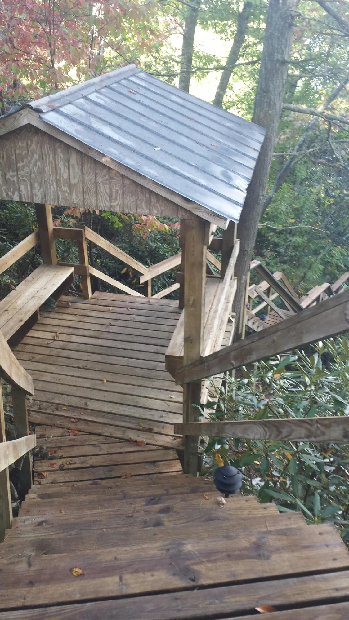 Metal roofed shelter over wooden steps on a wooded walkway — Skylight Repair & Installation work by our crew in Neelyton